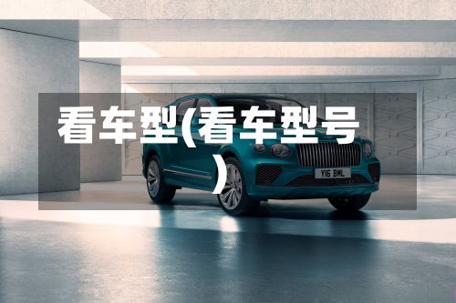 看车型(看车型号)