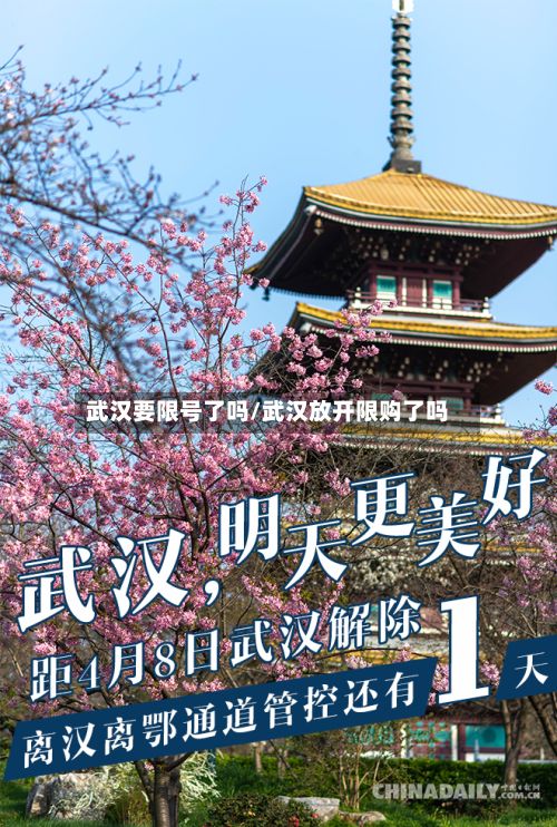 武汉要限号了吗/武汉放开限购了吗