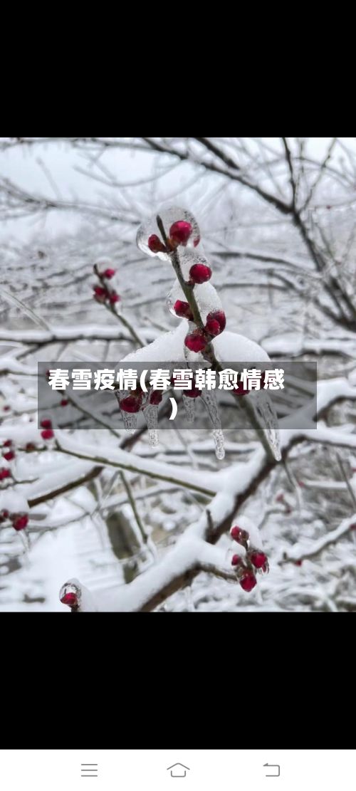 春雪疫情(春雪韩愈情感)