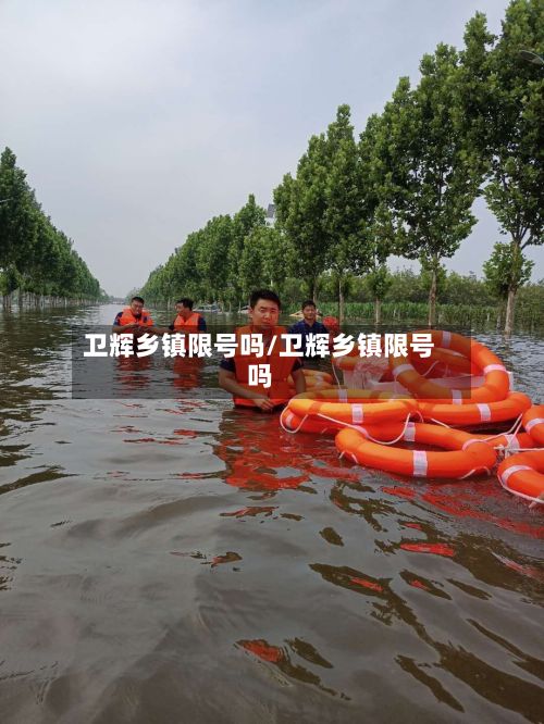 卫辉乡镇限号吗/卫辉乡镇限号吗