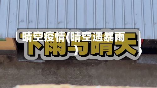 晴空疫情(晴空遇暴雨)-第2张图片