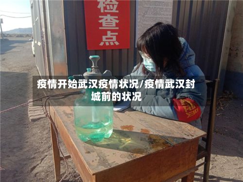 疫情开始武汉疫情状况/疫情武汉封城前的状况
