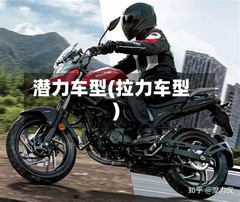 潜力车型(拉力车型)-第2张图片