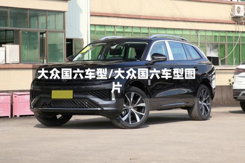 大众国六车型/大众国六车型图片