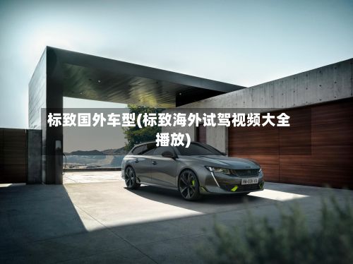 标致国外车型(标致海外试驾视频大全播放)