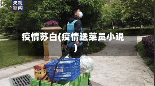 疫情苏白(疫情送菜员小说)