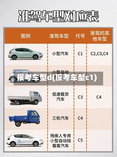 报考车型d(报考车型c1)-第3张图片