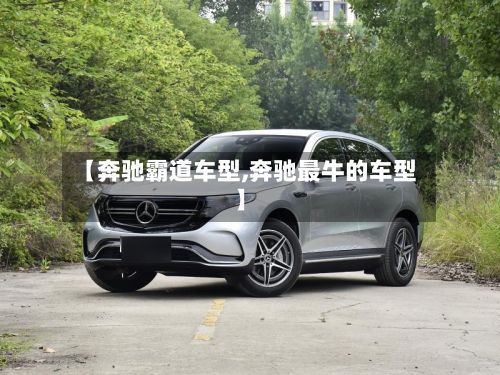 【奔驰霸道车型,奔驰最牛的车型】