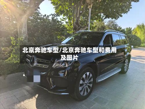 北京奔驰车型/北京奔驰车型和费用及图片