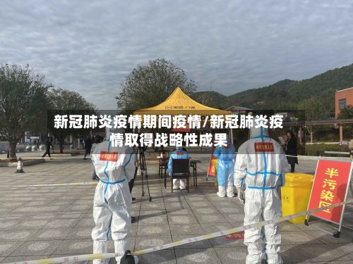 新冠肺炎疫情期间疫情/新冠肺炎疫情取得战略性成果
