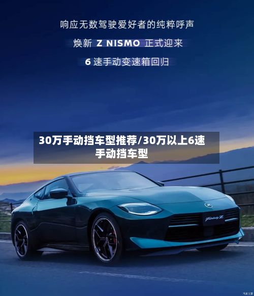 30万手动挡车型推荐/30万以上6速手动挡车型-第2张图片