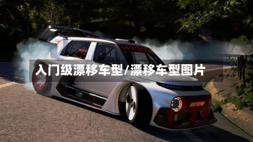 入门级漂移车型/漂移车型图片-第2张图片