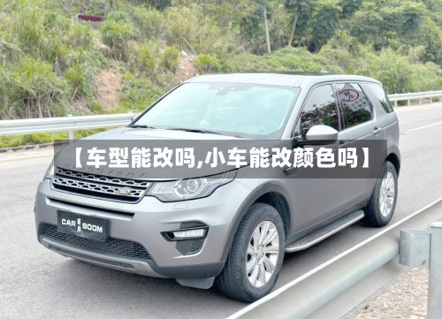 【车型能改吗,小车能改颜色吗】-第2张图片