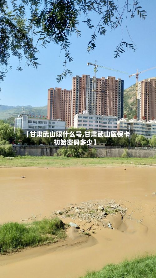 【甘肃武山限什么号,甘肃武山医保卡初始密码多少】-第2张图片