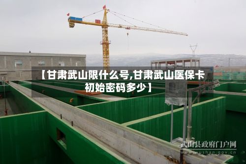 【甘肃武山限什么号,甘肃武山医保卡初始密码多少】
