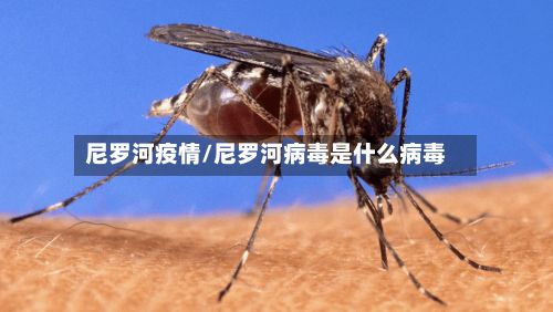 尼罗河疫情/尼罗河病毒是什么病毒-第2张图片
