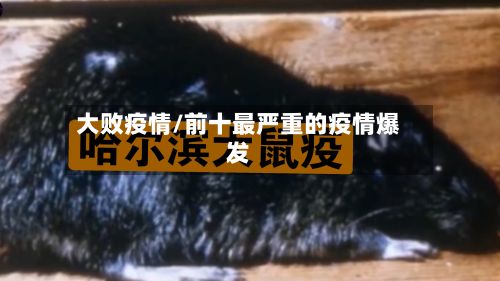 大败疫情/前十最严重的疫情爆发