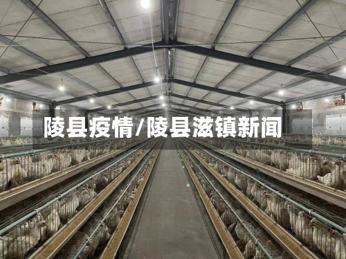 陵县疫情/陵县滋镇新闻-第3张图片