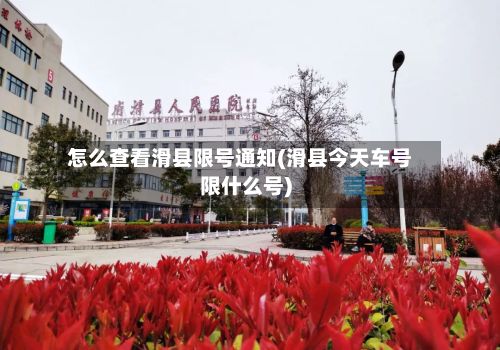 怎么查看滑县限号通知(滑县今天车号限什么号)-第3张图片