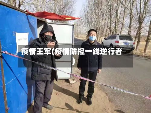 疫情王军(疫情防控一线逆行者)