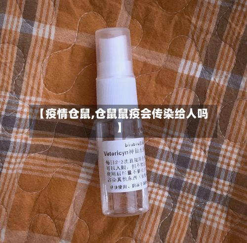 【疫情仓鼠,仓鼠鼠疫会传染给人吗】