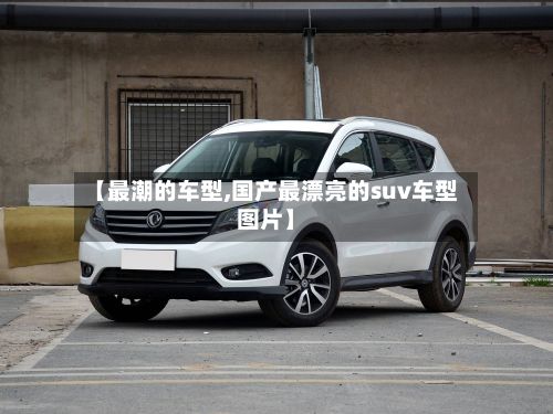 【最潮的车型,国产最漂亮的suv车型图片】