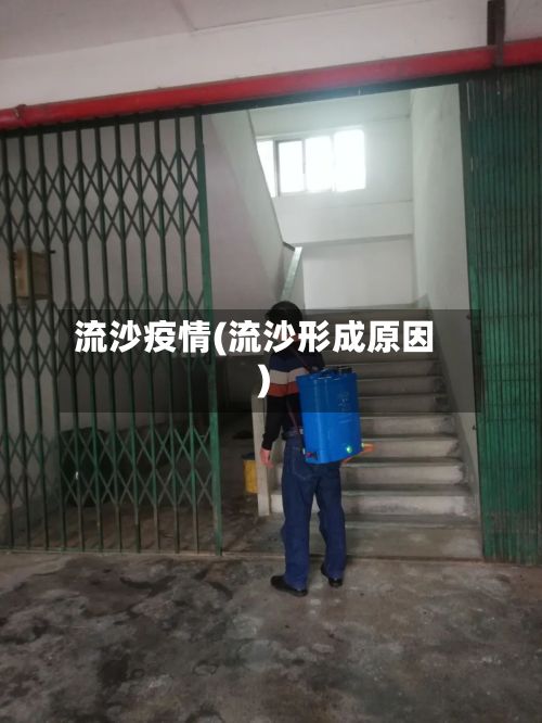 流沙疫情(流沙形成原因)