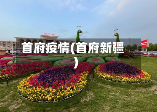 首府疫情(首府新疆)