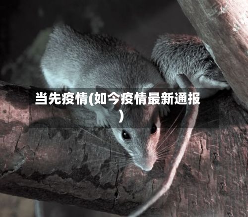 当先疫情(如今疫情最新通报)