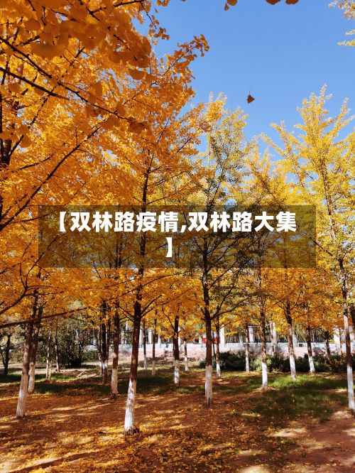 【双林路疫情,双林路大集】-第2张图片