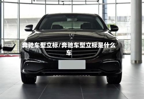 奔驰车型立标/奔驰车型立标是什么车-第2张图片