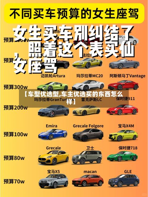 【车型优选型,车主优选买的东西怎么样】-第3张图片