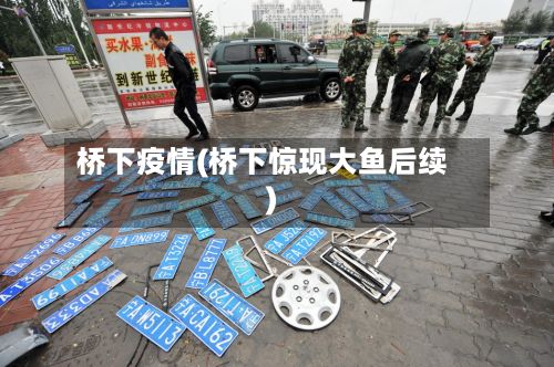 桥下疫情(桥下惊现大鱼后续)-第2张图片