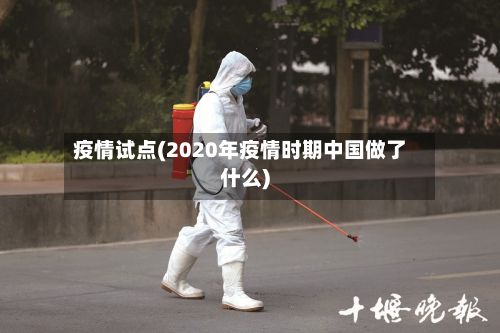 疫情试点(2020年疫情时期中国做了什么)