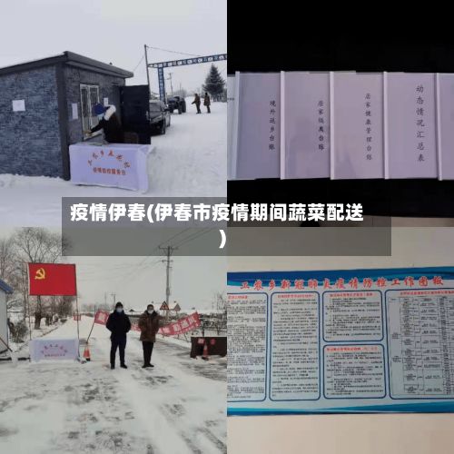 疫情伊春(伊春市疫情期间蔬菜配送)