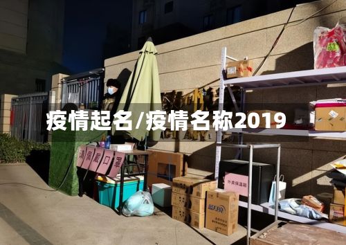 疫情起名/疫情名称2019