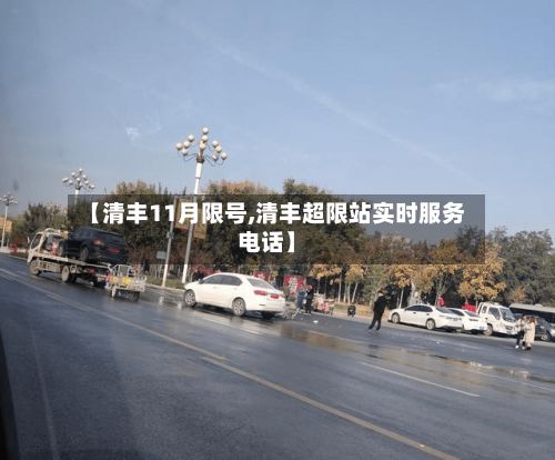 【清丰11月限号,清丰超限站实时服务电话】-第3张图片