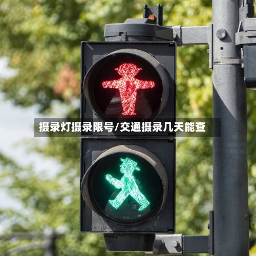 摄录灯摄录限号/交通摄录几天能查-第2张图片