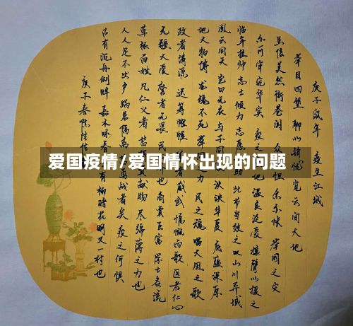 爱国疫情/爱国情怀出现的问题
