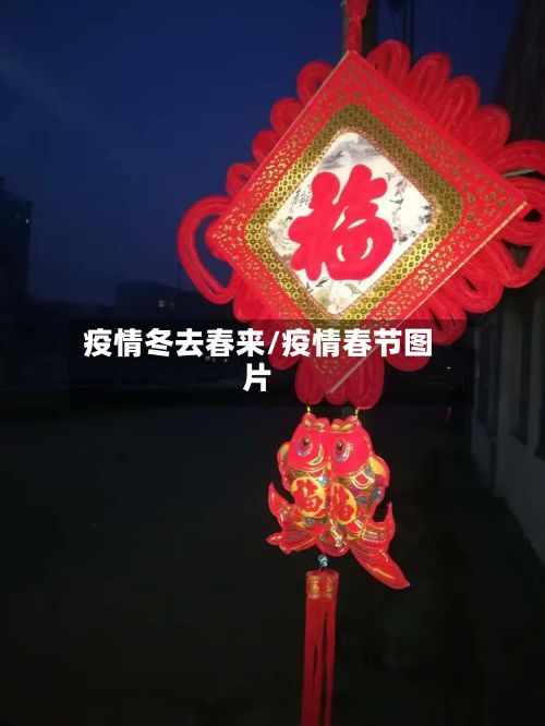 疫情冬去春来/疫情春节图片