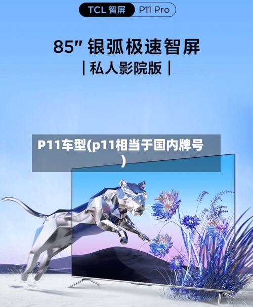 P11车型(p11相当于国内牌号)-第2张图片
