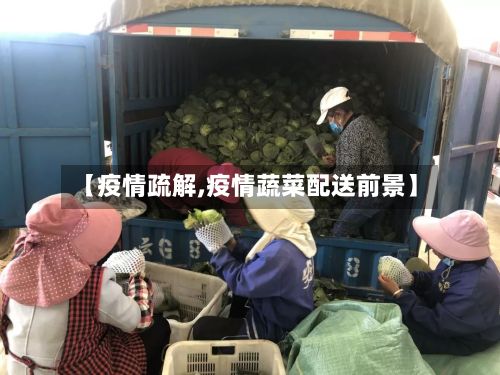 【疫情疏解,疫情蔬菜配送前景】