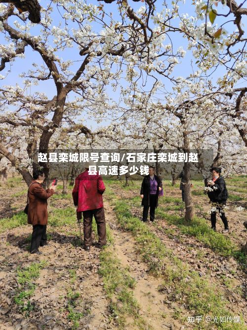 赵县栾城限号查询/石家庄栾城到赵县高速多少钱