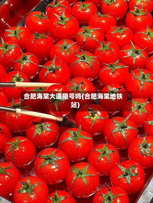合肥海棠大道限号吗(合肥海棠地铁站)-第3张图片
