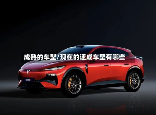 成熟的车型/现在的速成车型有哪些