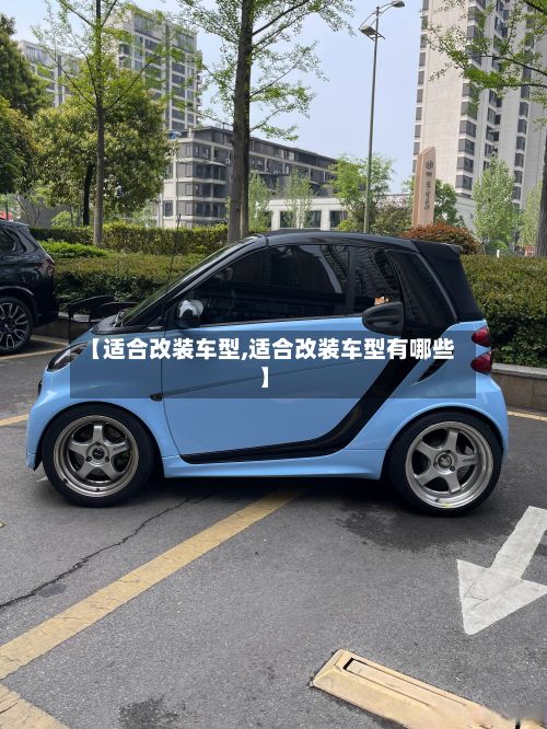 【适合改装车型,适合改装车型有哪些】