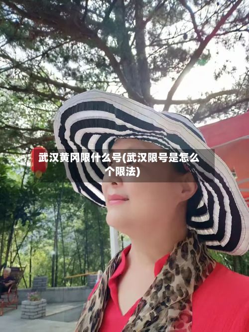 武汉黄冈限什么号(武汉限号是怎么个限法)-第2张图片