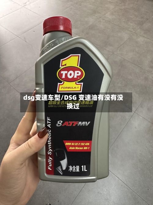 dsg变速车型/DSG 变速油有没有没换过-第2张图片