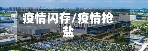 疫情闪存/疫情抢盐