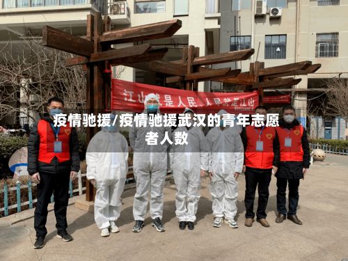 疫情驰援/疫情驰援武汉的青年志愿者人数-第2张图片